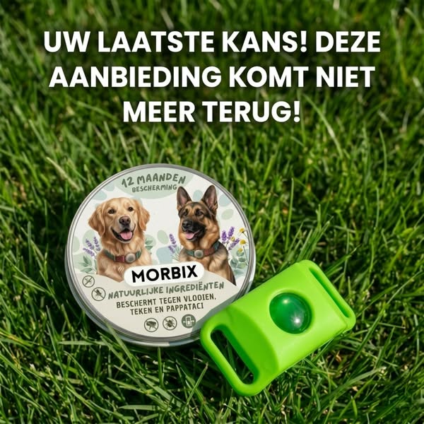 Je hond wacht nog steeds op je