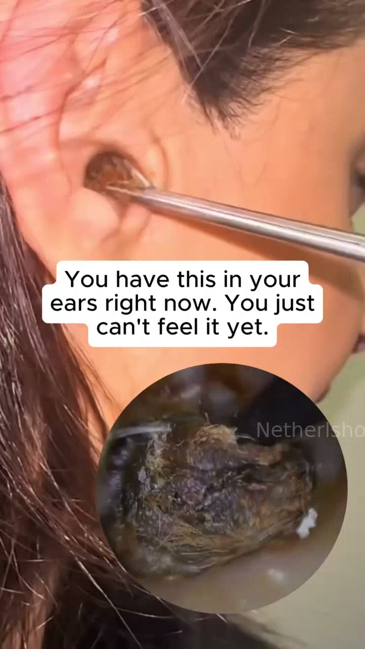 Netherlshop