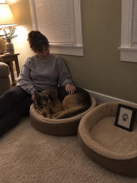 How To Fix Your Dog's Reactivity