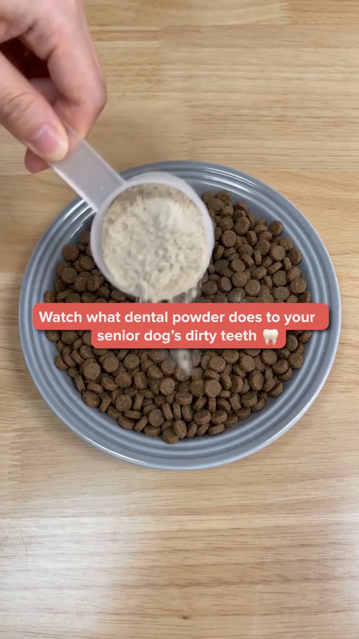 Easiest Routine for Cleaner Dog Teeth