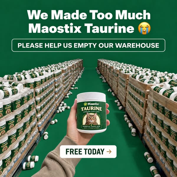 Free Today!