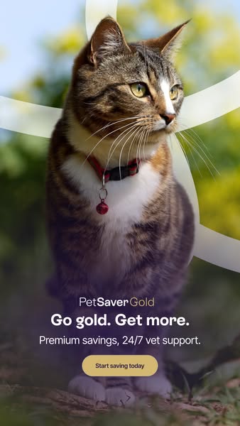 Premium pet care savings