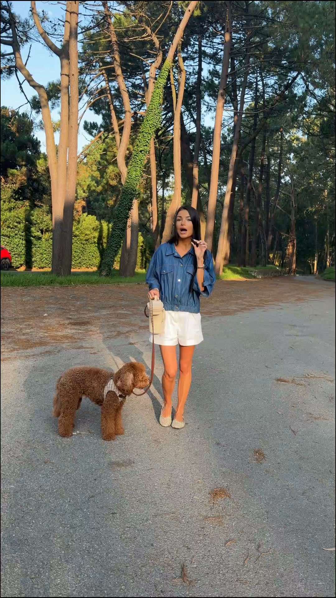 La botella 3 en 1 para tu perro