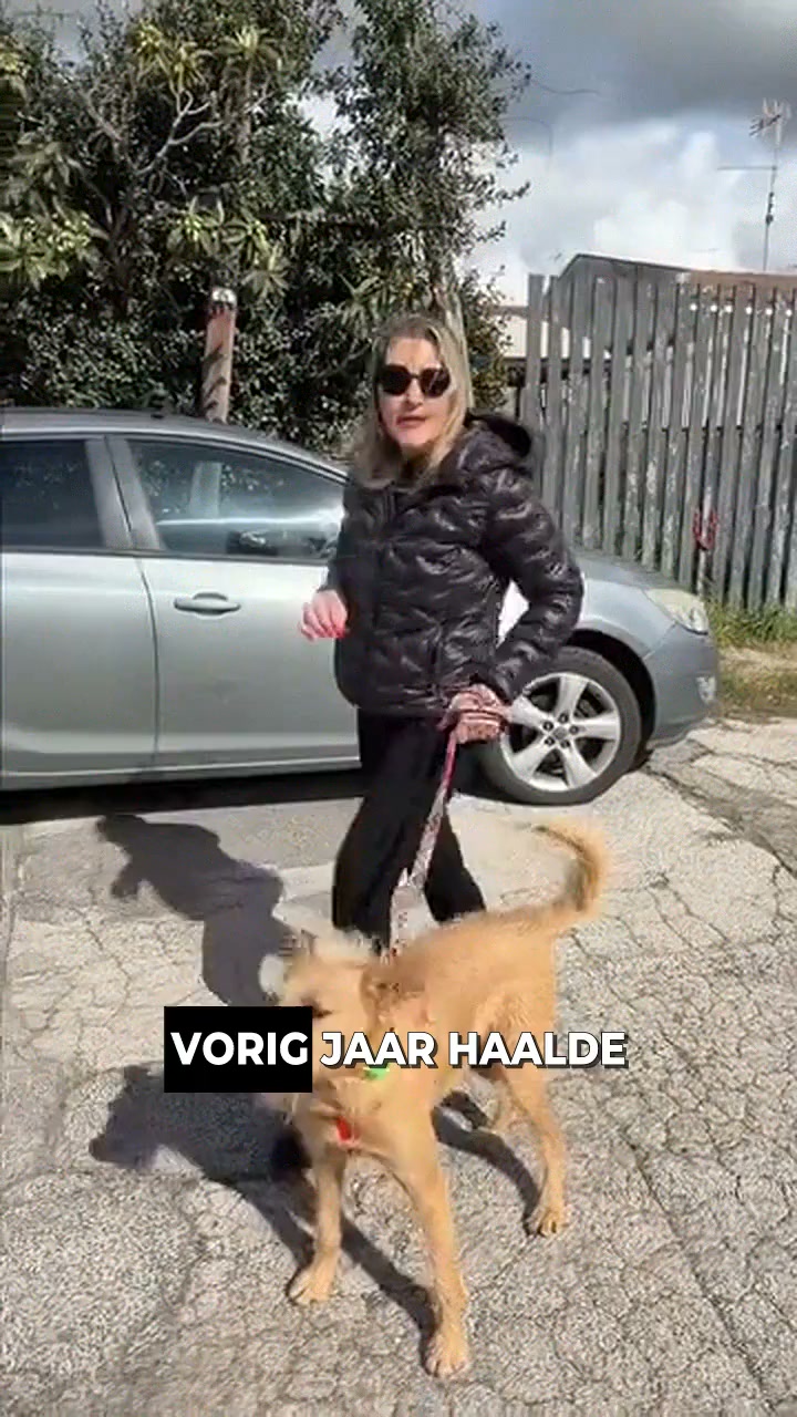 Geef je hond en jezelf rust, zonder chemische troep