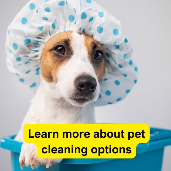 Learn more about pet cleaning options