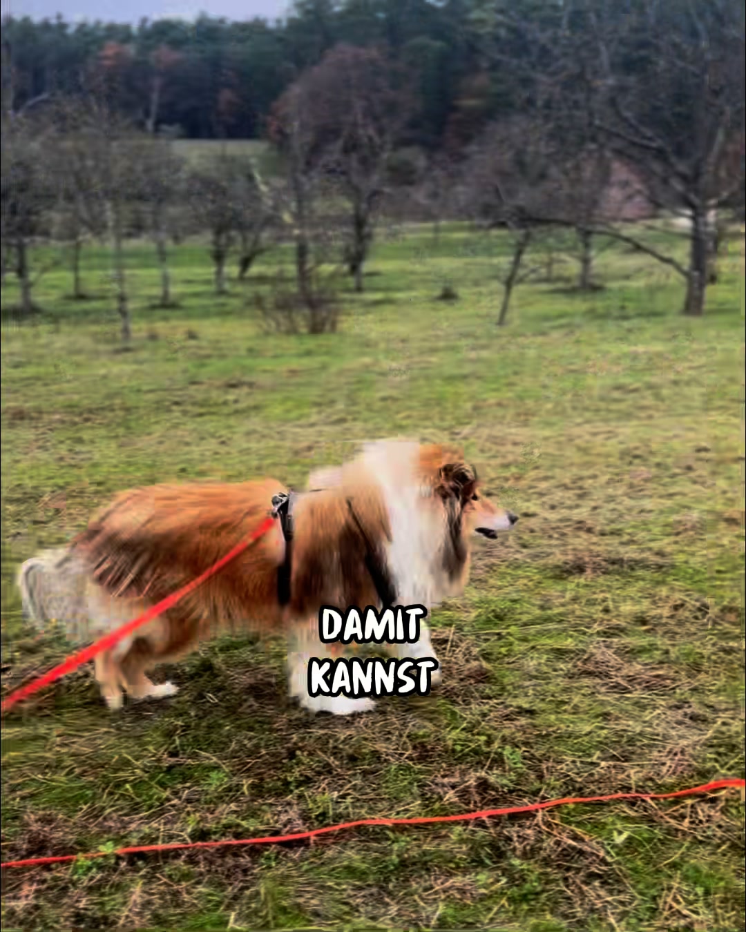 So klappt der Rückruf!