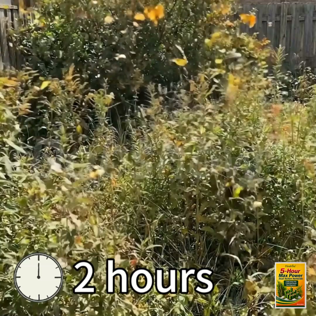 FIGHT TOUGH WEEDS SMARTER