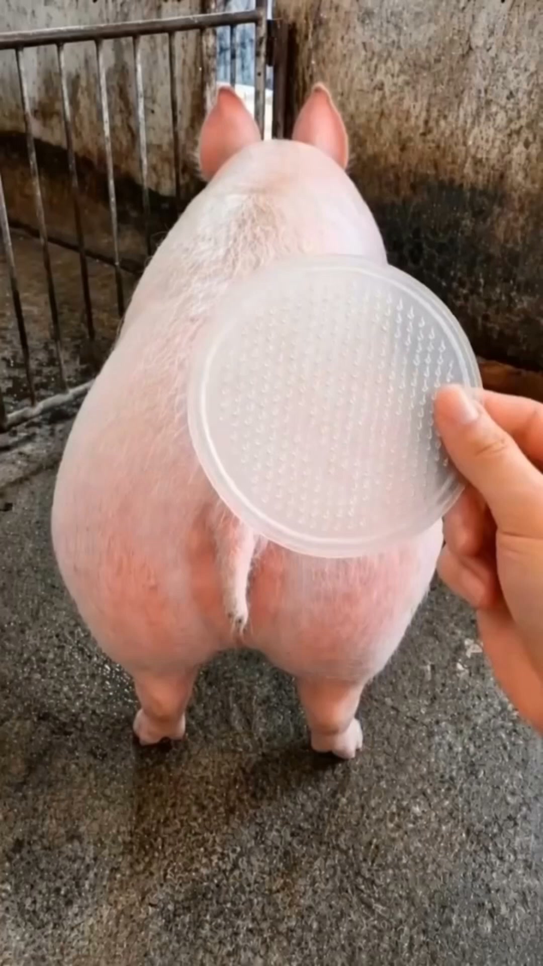 I Observed the NEW & IMPROVED Microneedle Patch for an Entire Month