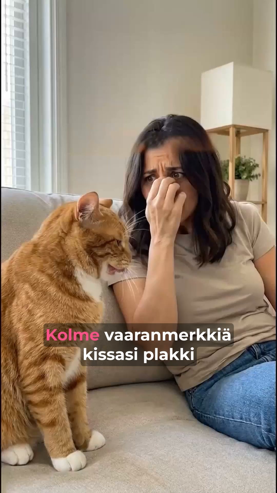 Onnellisempi kissa odottaa