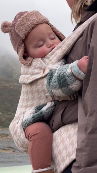 The Oatmeal Baby Carrier