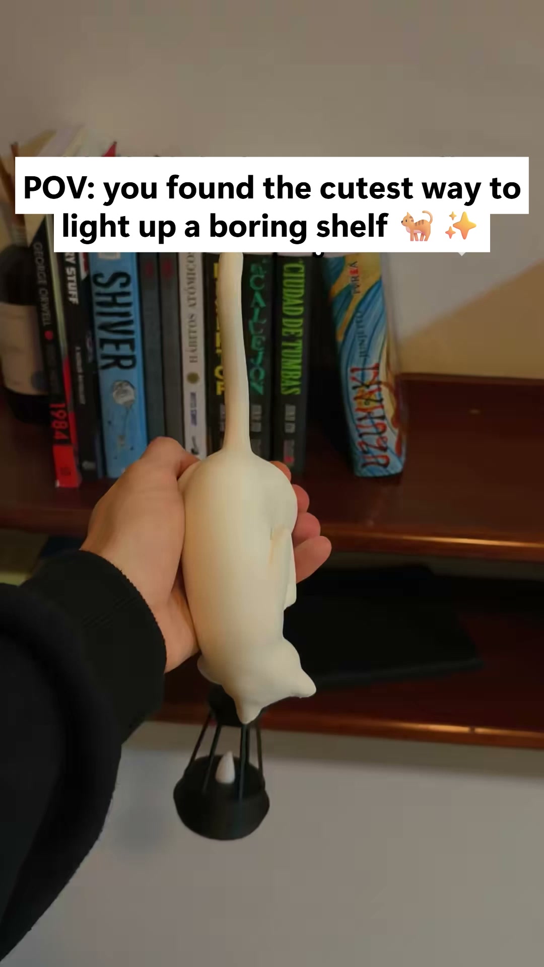 Playful Cat Light Decoration