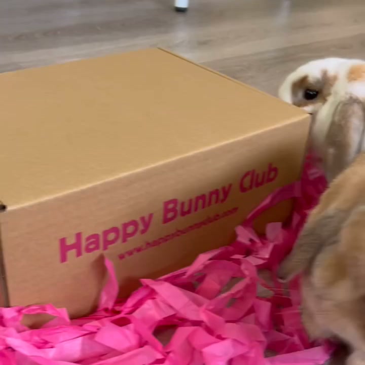 Get your first box for just £14, free delivery.