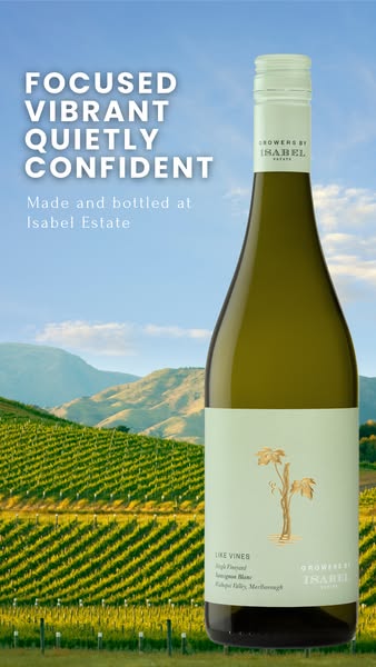 Single Vineyard Sauvignon Blanc Under £15