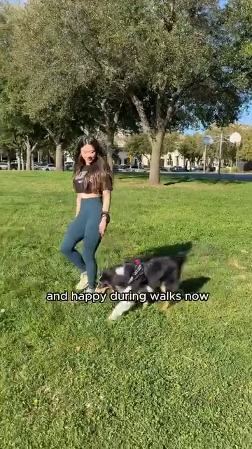 Anúncio de Pawbibi