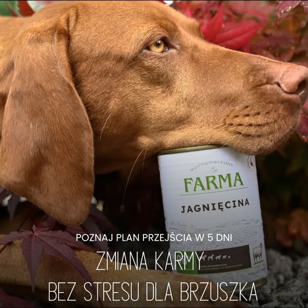 Farma