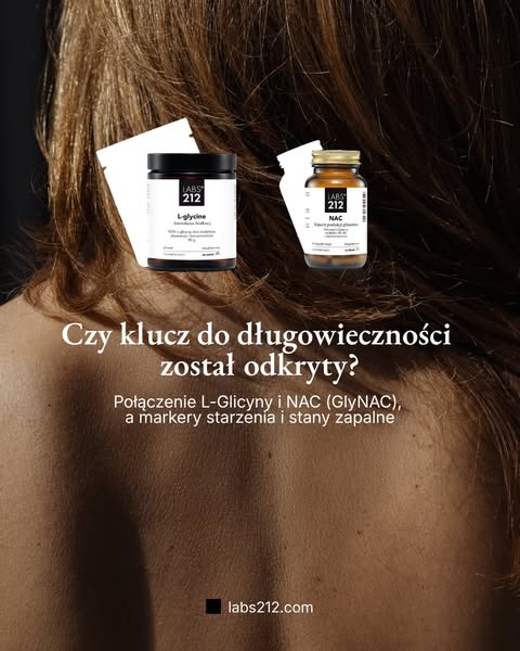 Strona główna