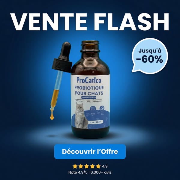 Vente flash — jusqu'à –60% · Offre limitée.