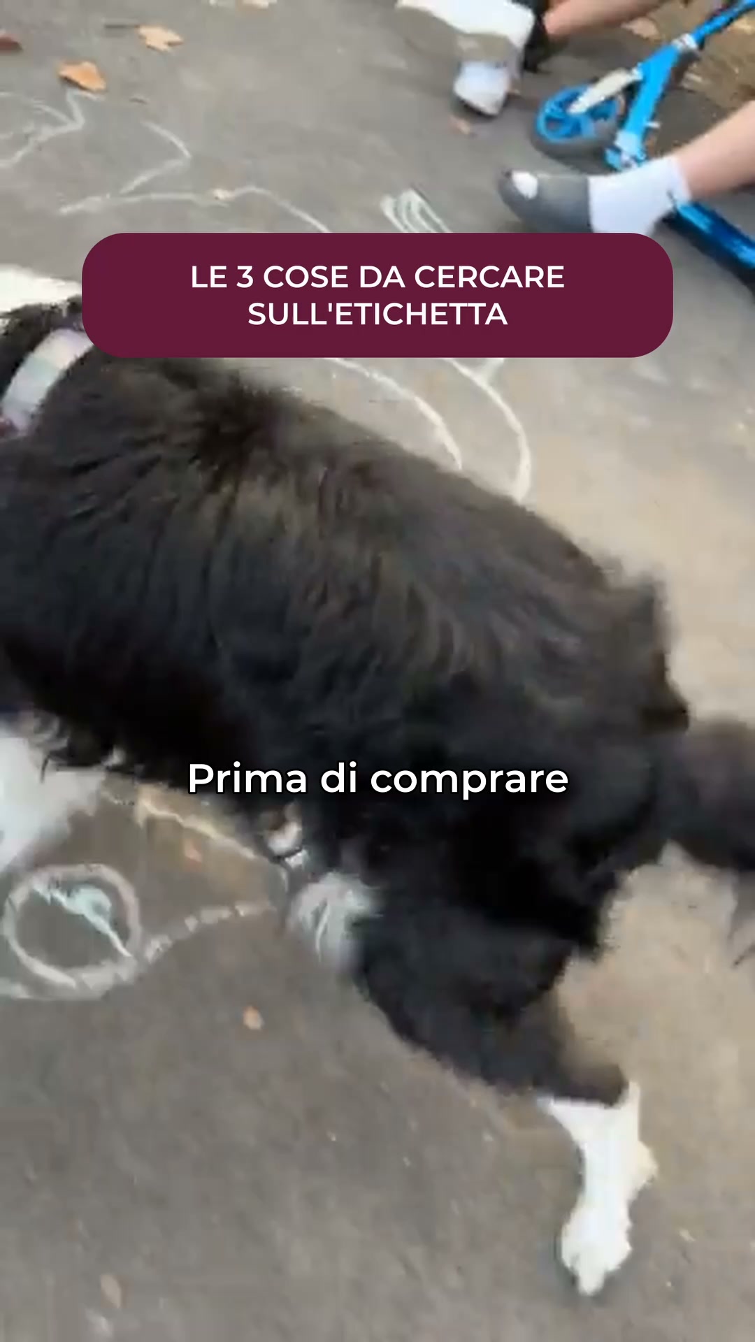 Glucosamina ma zero risultati? Ecco cosa potrebbe mancare