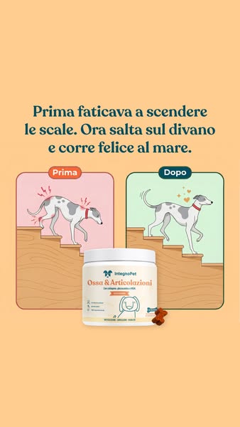 Ossa & Articolazioni