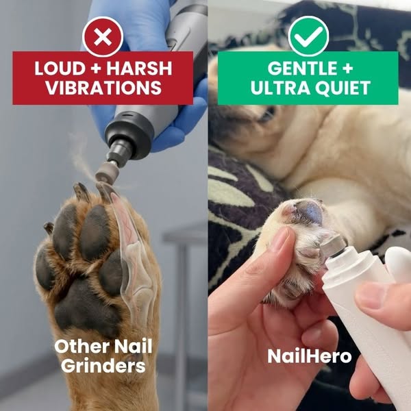 NailHero - See The Quick Before You Cut!
