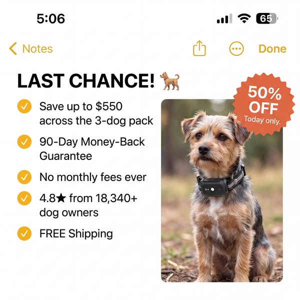 How Dog Trainers Handle Escape Artists