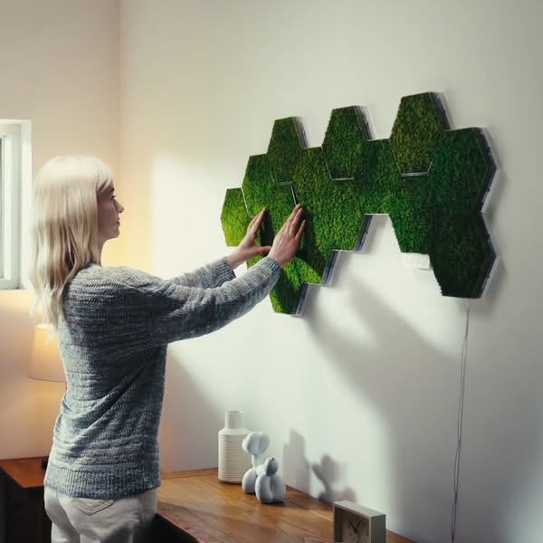 Let Your Walls Glow Wild