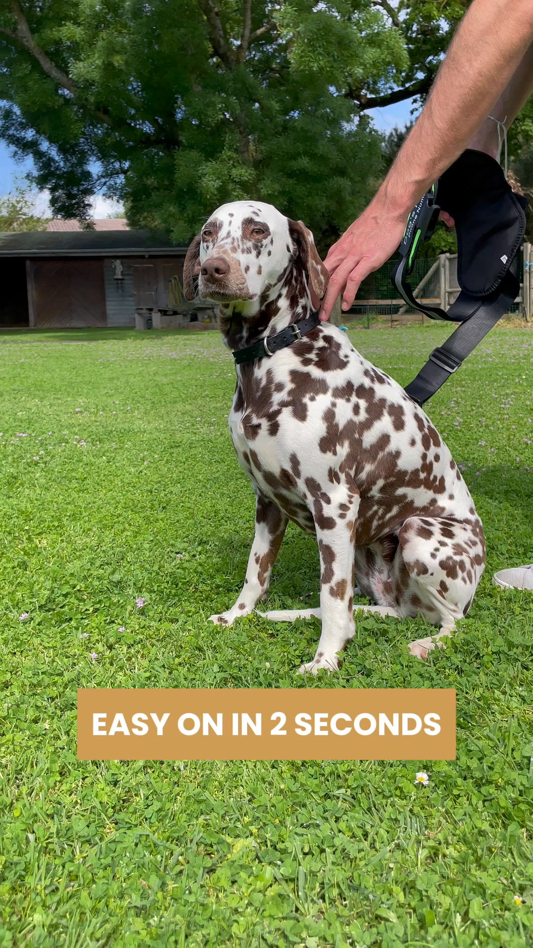 50%OFF + 1 Free Lead