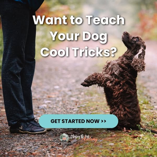 NEW: Smart Dog Tricks - $19