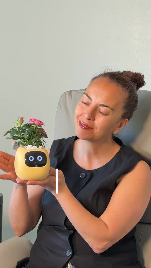 Anúncio de IvyPlantsio