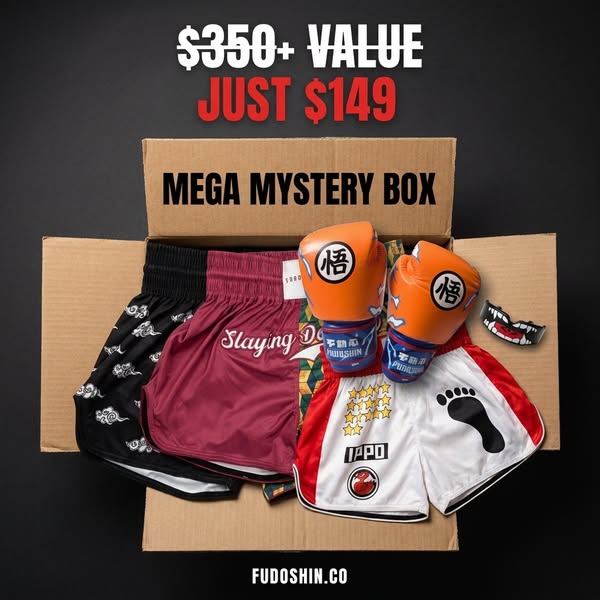 Mega Mystery Box — $149