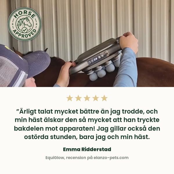 Hästarna älskar EquiGlow, se varför