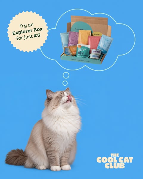 Over 10,000+ happy cats!