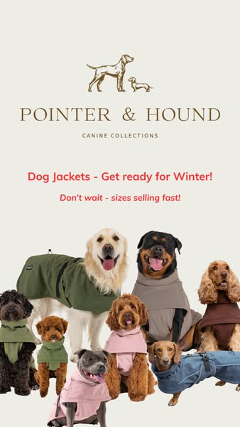 Quality Dog Jackets