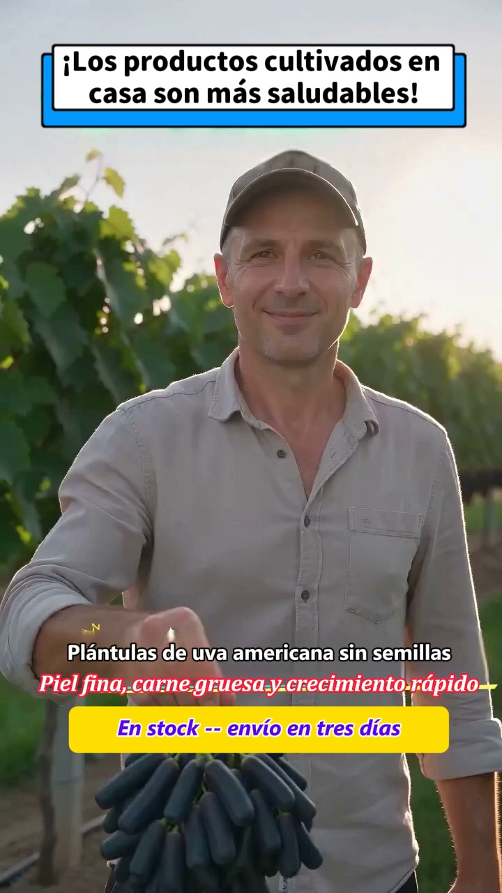 Anúncio de Qfvbdnj Bargain Hunt