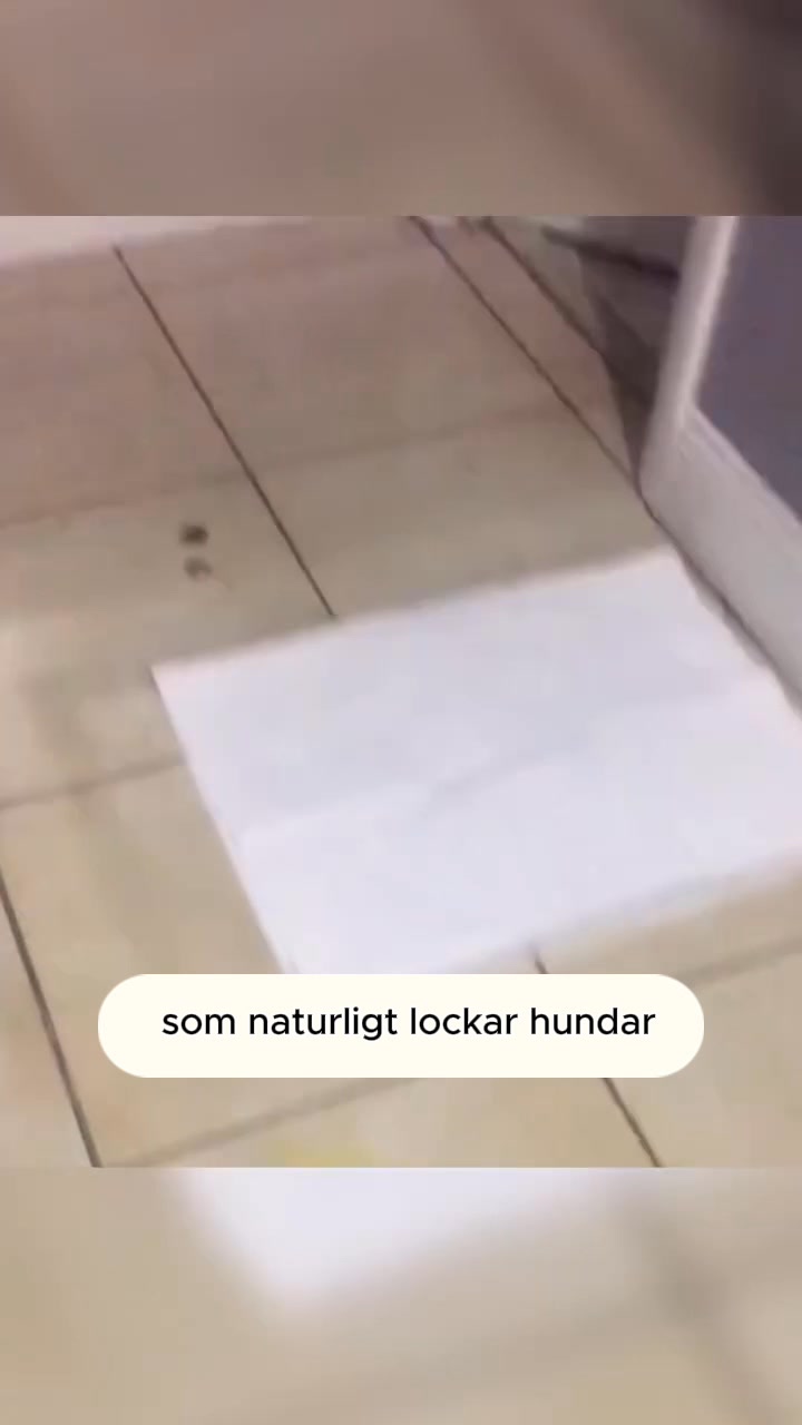 Gratis frakt + 200kr rabatt idag!