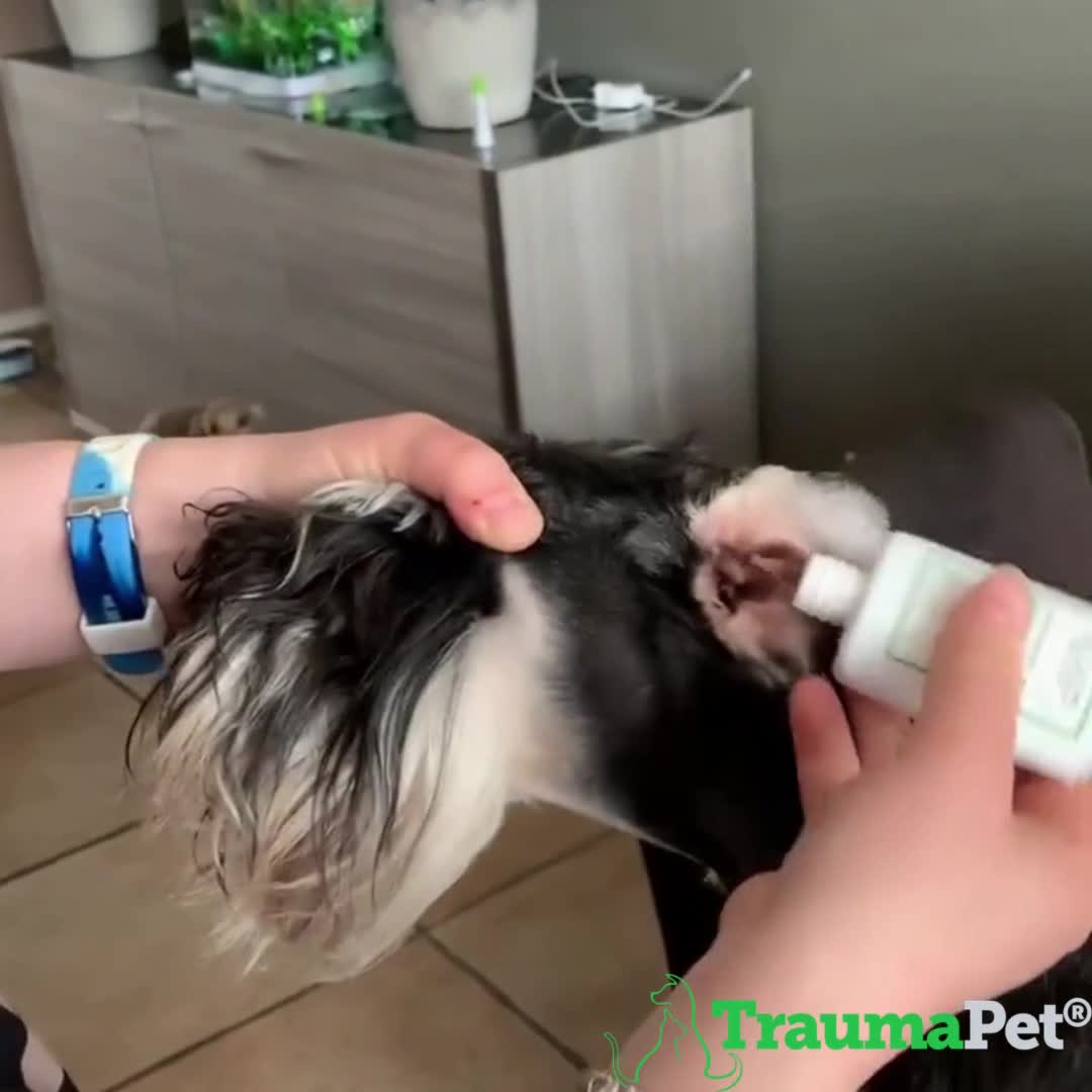 TraumaPet Oordruppels