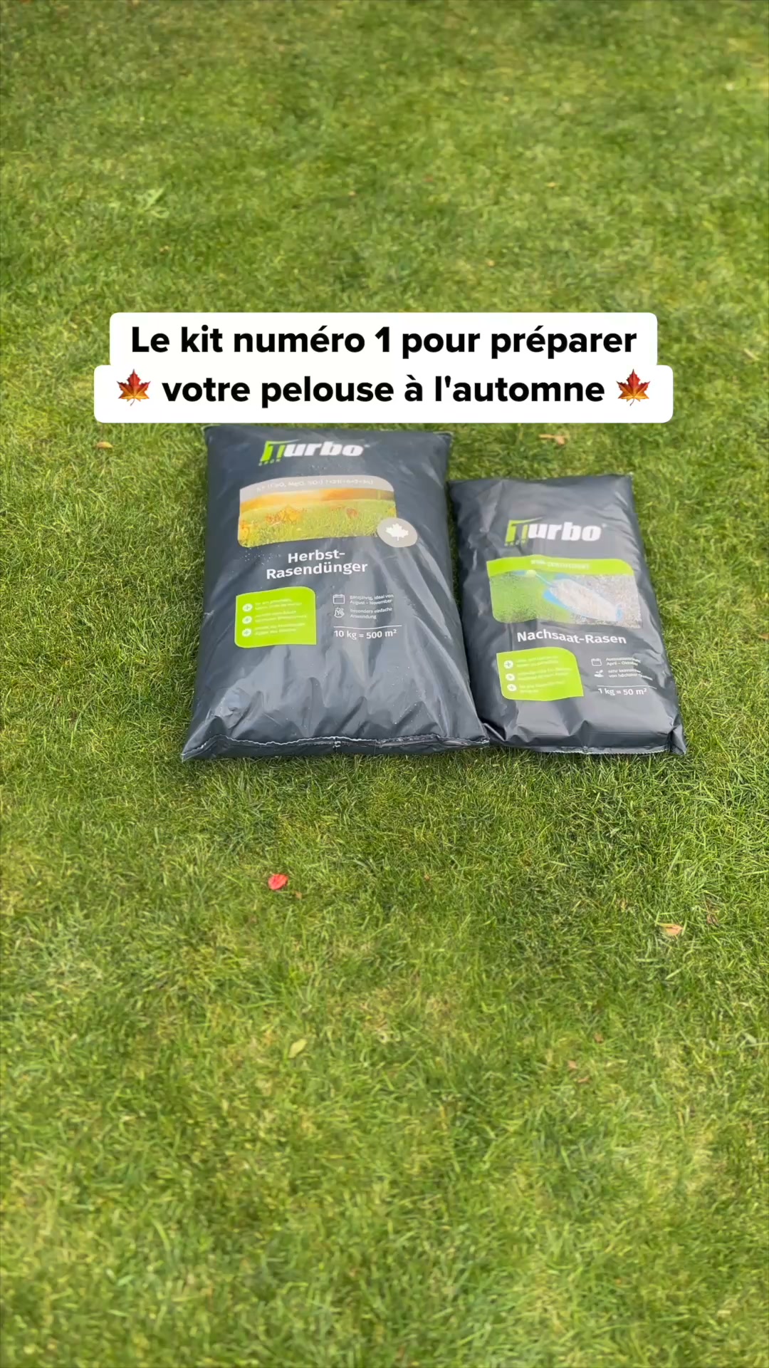 Sauver son gazon après l'été
