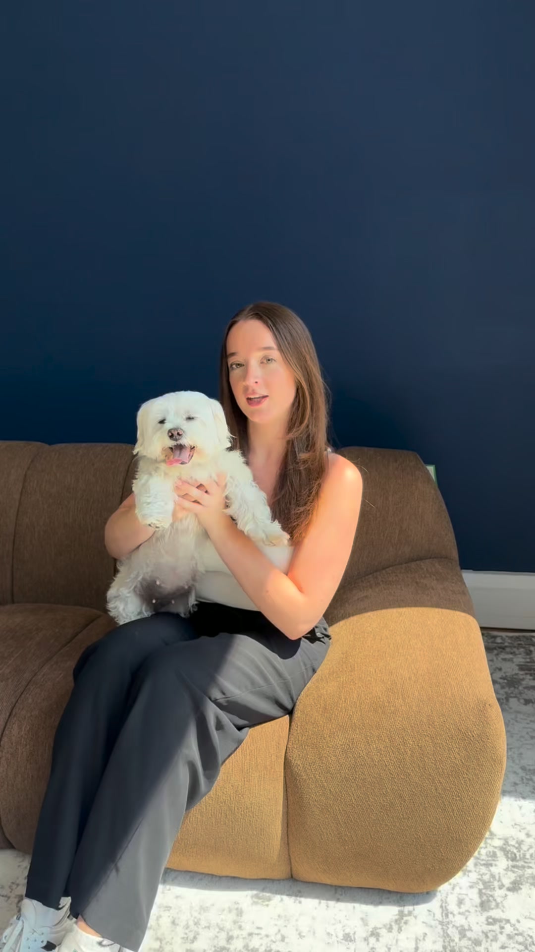 Sofas Built for Dog Owners