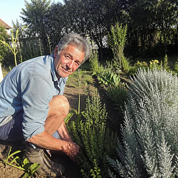 Cure Antiparasitaire Naturelle — Retrouvez Votre Énergie & Confort Dig