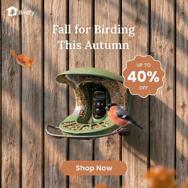 Feed the Journey. Watch the Wonder. Save Up to 40% OFF.