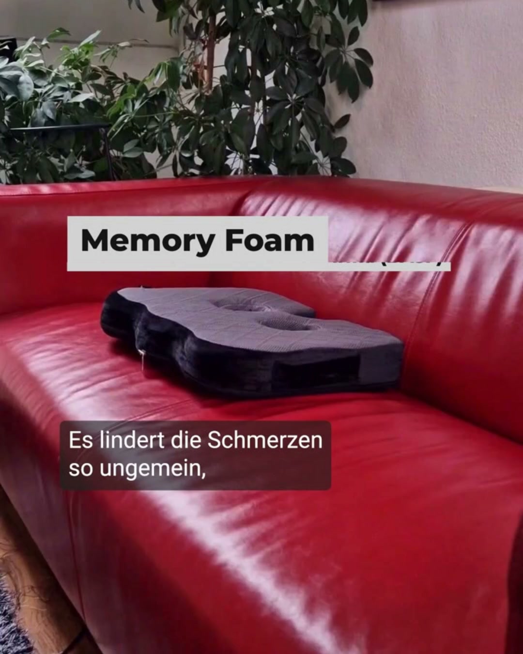 „Nicht mehr ohne dieses Kissen“