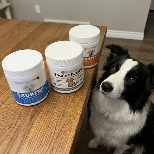 The only taurine I trust for dogs..