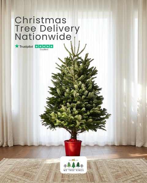 Real, Pot Grown Christmas Trees