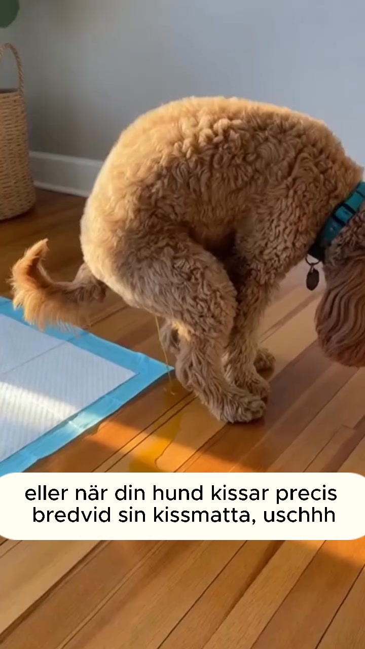 Gratis frakt + 200kr rabatt idag!