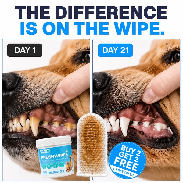 Same dog. 21 days apart.