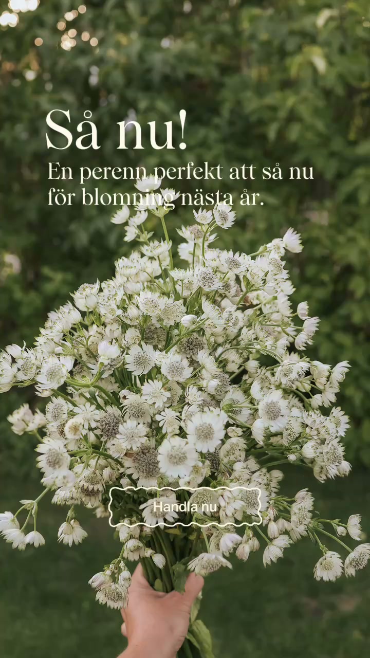 Så NU!