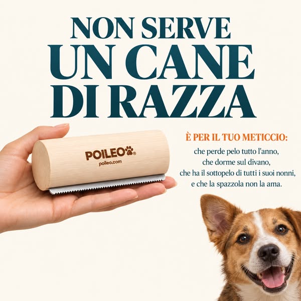 Anche per il tuo meticcio