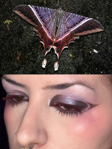 Eye Makeup Bundles | Eye Quads & Eyeliner Sets | GODMODE