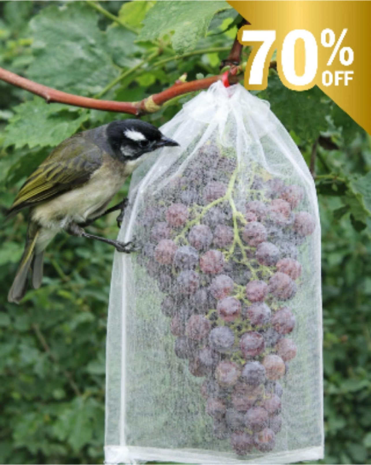 70% SCONTO