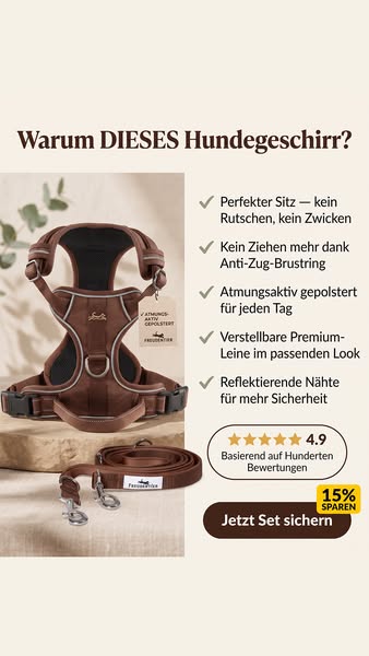 In 2-4 Tagen bei dir